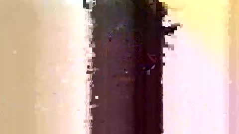 Sara online show from 7, 6, 2026