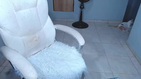 Sara online show from 15, 2, 2026