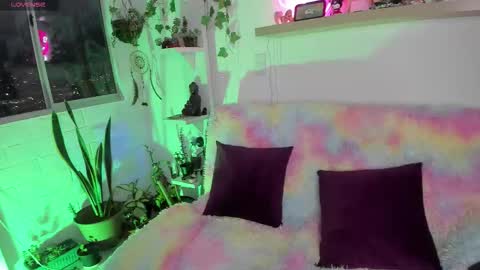 Sarah NEW ACCOUNT online show from 3, 2, 2026