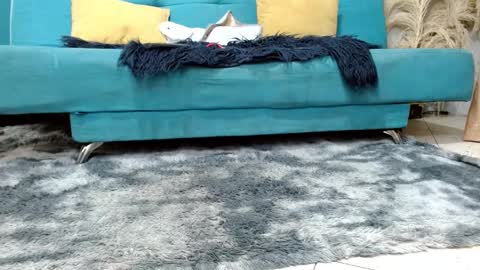 sarita_klein online show from 2, 3, 2026