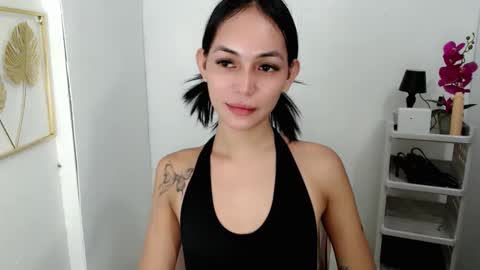 Sashi online show from 3, 12, 2025