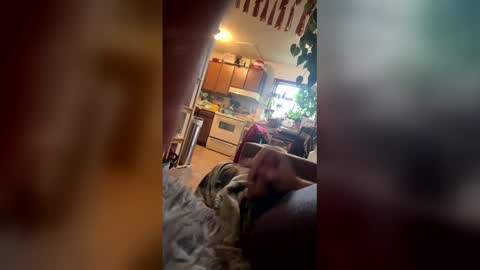 satchster online show from 14, 4, 2026