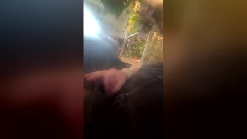 satchster online show from 26, 4, 2026