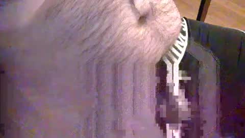 Snapshot of sato58264 chatting on 18, 5, 2026 sato58264 online show from 18, 5, 2026