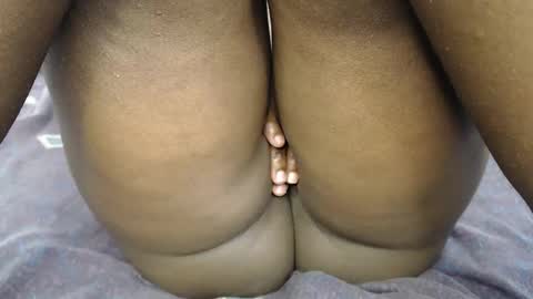 pety online show from 26, 2, 2026