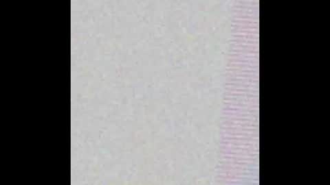 petperson04 online show from 20, 3, 2026