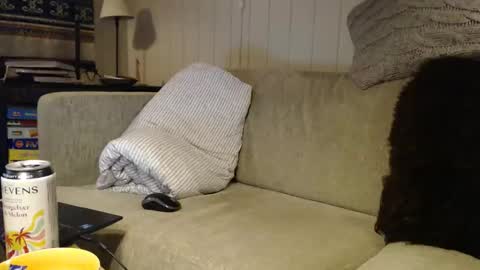 Scand online show from 1, 3, 2026