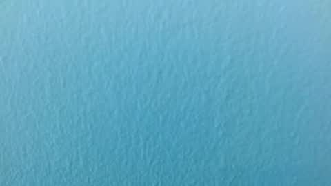 Snapshot of scarlet771776 chatting on 29, 11, 2025 scarlet771776 online show from 29, 11, 2025