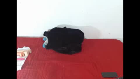 Scarletfox Fox online show from 12, 2, 2026