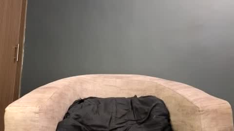 scarlett_is_here online show from 19, 4, 2026