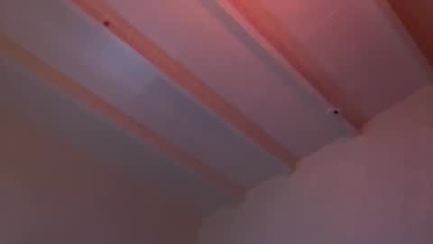 Snapshot of schwanzundbooty chatting on 6, 4, 2026 Hans Hammer online show from 6, 4, 2026