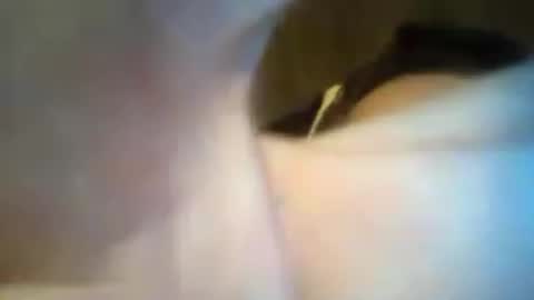 scooterlynn911 online show from 21, 6, 2026