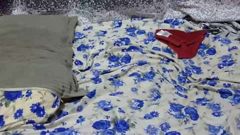 Its Lilly online show from 25, 1, 2025