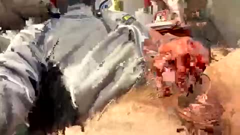 Snapshot of scottj603603 chatting on 18, 2, 2026 scottj603603 online show from 18, 2, 2026