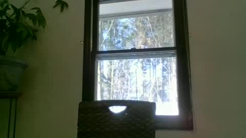 scottpbi52 online show from 22, 1, 2025