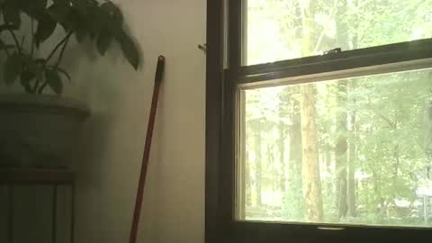 scottpbi52 online show from 28, 9, 2025