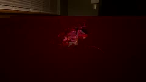 scottyn69 online show from 22, 12, 2024