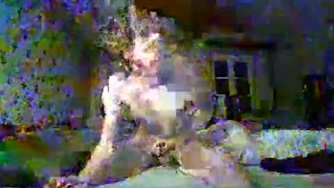 scratt67 online show from 22, 11, 2025