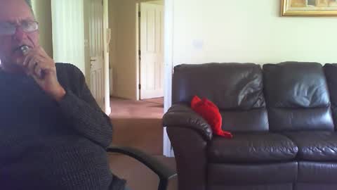 seakrait online show from 20, 4, 2026