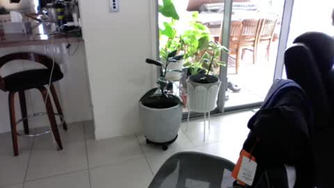 sebastianalll online show from 30, 12, 2024