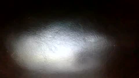 Sunny online show from 26, 2, 2026