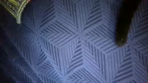 Sunny online show from 18, 4, 2026