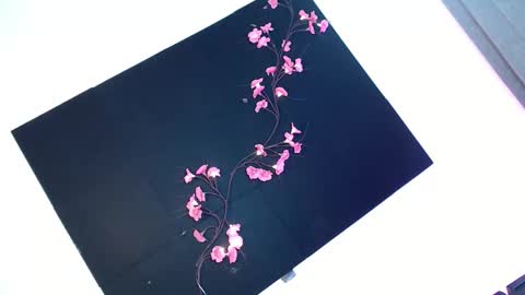 cath online show from 28, 11, 2025