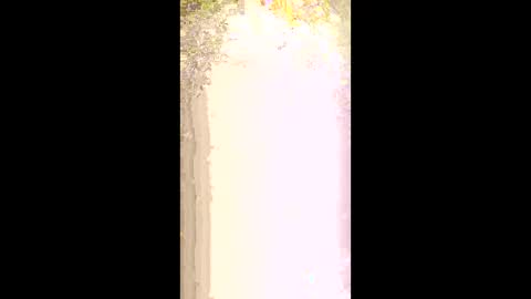 Snapshot of seethru9 chatting on 2, 3, 2026 seethru9 online show from 2, 3, 2026