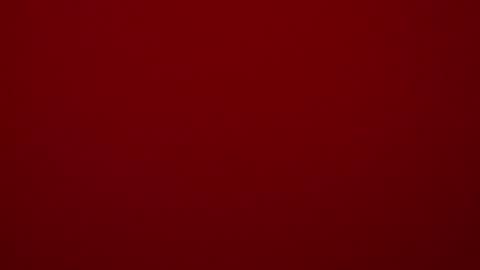 seeus24 online show from 15, 2, 2025