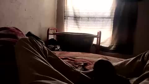 Aston Mcgrey online show from 12, 1, 2026