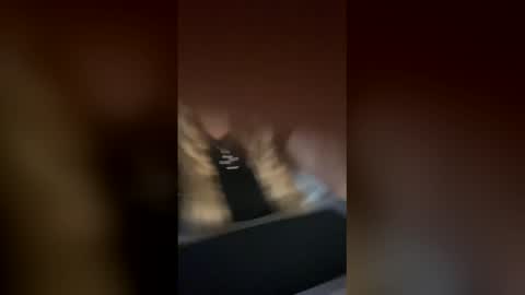 Alina online show from 25, 11, 2025