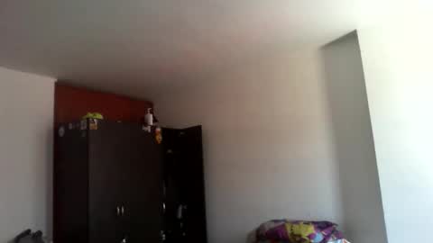 semental24cm online show from 17, 12, 2025