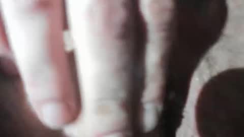 senditquick online show from 17, 1, 2026