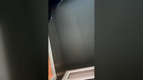 sensay mtz online show from 23, 3, 2026