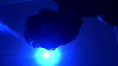 senseisalami online show from 27, 11, 2025