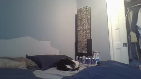 sensualcock4you online show from 20, 12, 2025