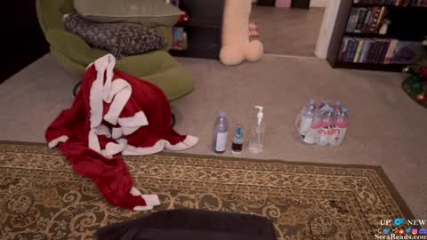 Snapshot of serareads chatting on 16, 12, 2024 SeraReads online show from 16, 12, 2024