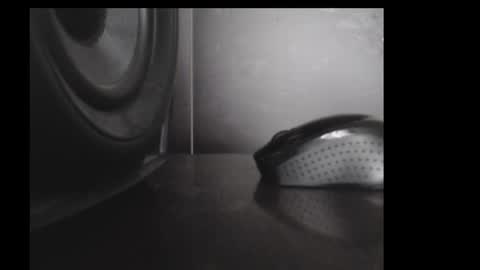 Daniel Taylor online show from 15, 11, 2025