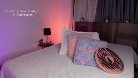 Snapshot of sexicanela99 chatting on 11, 12, 2024 ... Camila ... online show from 11, 12, 2024