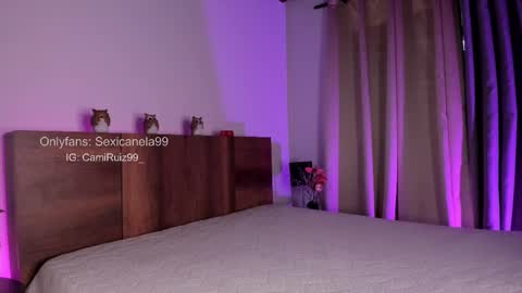 Snapshot of sexicanela99 chatting on 14, 2, 2025 ... Camila ... online show from 14, 2, 2025