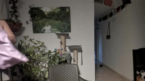         online show from 10, 4, 2026