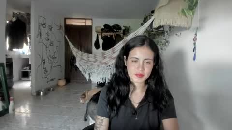         online show from 12, 5, 2026