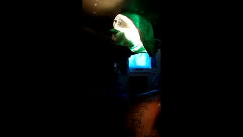 Snapshot of sextyplayboy chatting on 4, 4, 2026 sextyplayboy online show from 4, 4, 2026