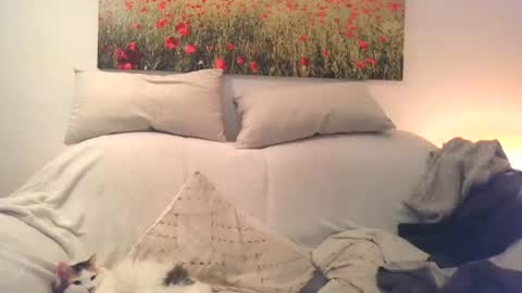 Snapshot of sexurbation chatting on 10, 12, 2024 Sexurbation online show from 10, 12, 2024