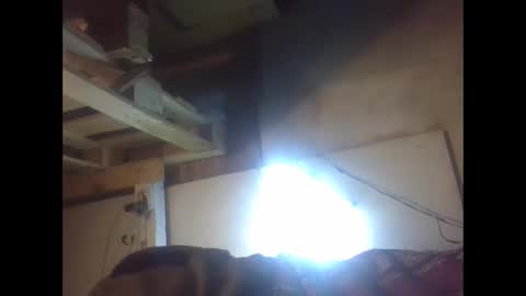 sexy15802 online show from 21, 12, 2024