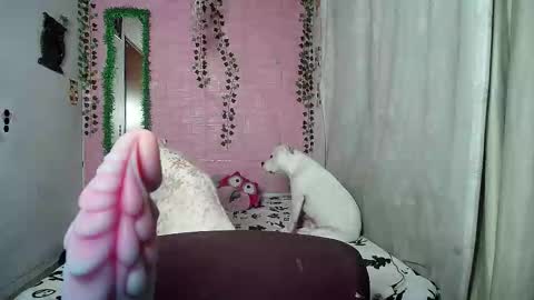 Snapshot of sexy_lolas chatting on 20, 2, 2026 sexy lolas online show from 20, 2, 2026