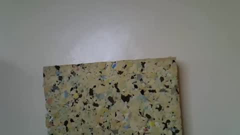 Molyne online show from 16, 4, 2026