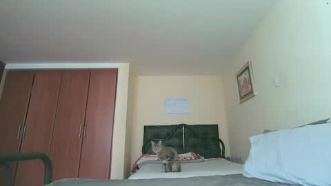 Snapshot of sexyaliceskay chatting on 27, 7, 2026 Alice Skay online show from 27, 7, 2026