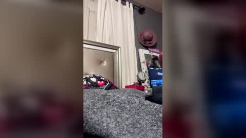 sexybbwqueen83 online show from 17, 12, 2025