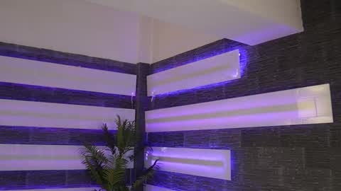 Celline online show from 22, 2, 2026